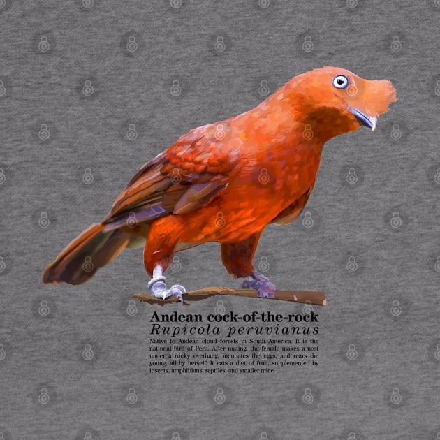 Andean cock-of-the-rock tropical bird black text by Ornamentum